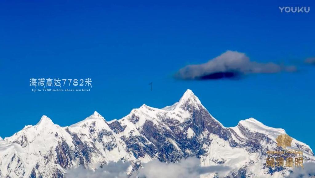 见证者